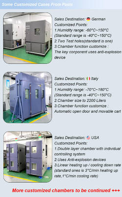 Лий настраиваемые экологические камеры Контроль температуры и влажности кабинет кондиционерная камера