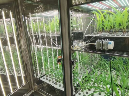 Лийская камера для роста растений искусственный климат машина для прорастания семян инкубатор для роста растений